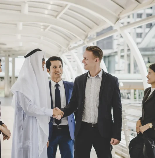 Expert Visa & PRO Assistance in Dubai Professional document clearing and PRO services team in Dubai.